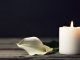 300+ Condolence Messages to Express Your Love and Support