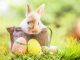 175+ Unique Happy Easter Greetings to Share with Loved Ones
