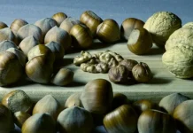 10 foods rich in magnesium to eat every day