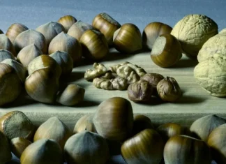 10 foods rich in magnesium to eat every day