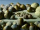 10 foods rich in magnesium to eat every day