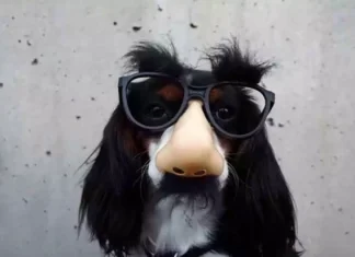 ⇨ 14 Pranks to Play on your FRIENDS