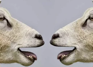 ⇨ 20 topics to expose and debate 【in class or with friends】