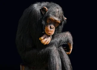 24 existential questions (deep or dumb)