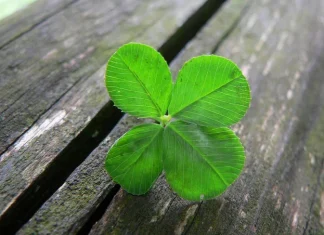 25 phrases about chance and luck