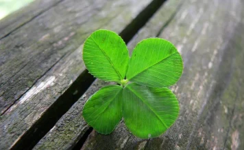 25 phrases about chance and luck