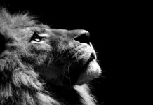 30 documentales de National Geographic espectaculares