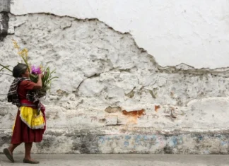 40 words of indigenous origin and their meaning