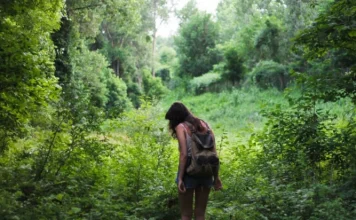 50 travel phrases for traveling people