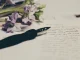6 beautiful love letters (fun and romantic)