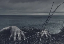 8 short, true, two-sentence horror stories