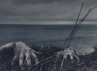 8 short, true, two-sentence horror stories