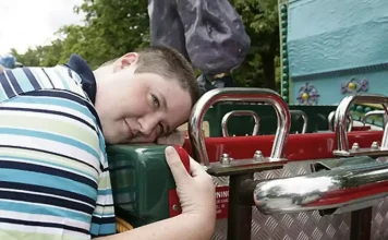 A case of objectophilia: love and attraction to a roller coaster