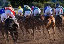 Horse racing: where to watch, how to bet and rules