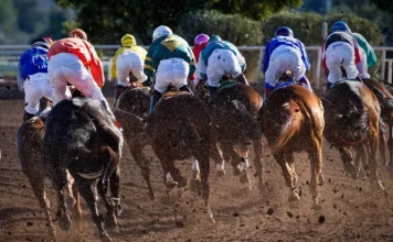 Horse racing: where to watch, how to bet and rules