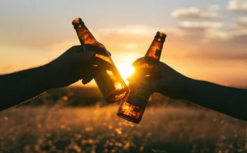 Craft beer: Types and how to make it in 5 steps