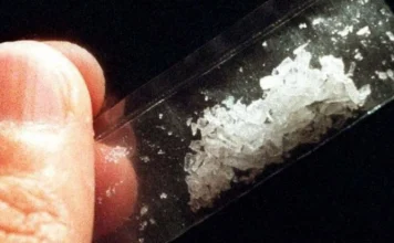Cannibal drug: what is it and what effects does it have