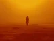 Dystopia: definition, meaning, types and examples