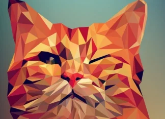 Geometric figures: 21 bodies and basic shapes