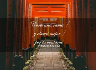 Haiku: what it is, haijin authors and 15 examples