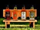 The 10 best Rum brands in the world that you must try
