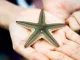 The 11 characteristics of living beings that all share