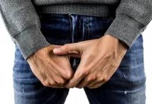 The 15 parts of the penis and its anatomy