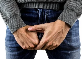 The 15 parts of the penis and its anatomy