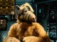 The 20 best series of the 90s that you must see