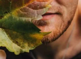 The 5 parts of a plant and their functions