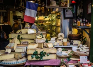 The 15 types of cheese: characteristics and properties