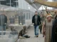 ‘The Visitors’: HBO premieres a new Nordic thriller