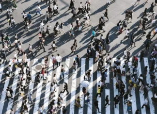 Sampling: what it is, what it is for and types