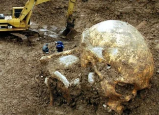 Nephilim: what or who were these beings?