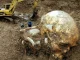 Nephilim: what or who were these beings?