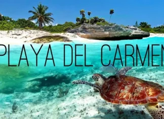 Playa del Carmen in Cacun (Mexico): Hotels, weather and tips