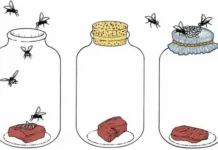 Spontaneous generation theory: a simple explanation