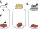 Spontaneous generation theory: a simple explanation