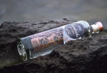 The 10 best gin brands in the world