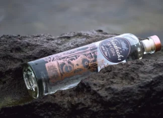 The 10 best gin brands in the world