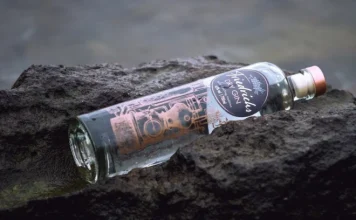 The 10 best gin brands in the world