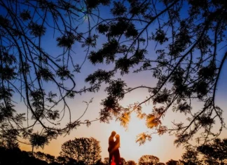 The 12 best love stories for lovers and romantics