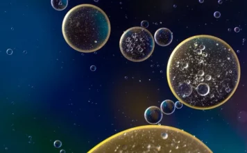 The 12 differences between eukaryotic and prokaryotic cells