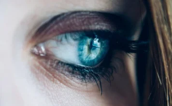 The 13 parts of the human eye and their functions