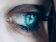 The 13 parts of the human eye and their functions