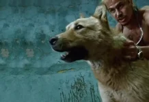 The 20 Mexican movies you must see