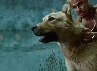 The 20 Mexican movies you must see