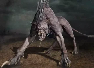 The legend of the chupacabra: what does this myth consist of?