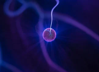 The parts of the atom and their properties