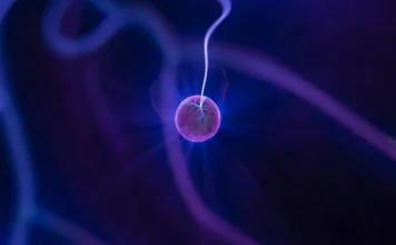The parts of the atom and their properties
